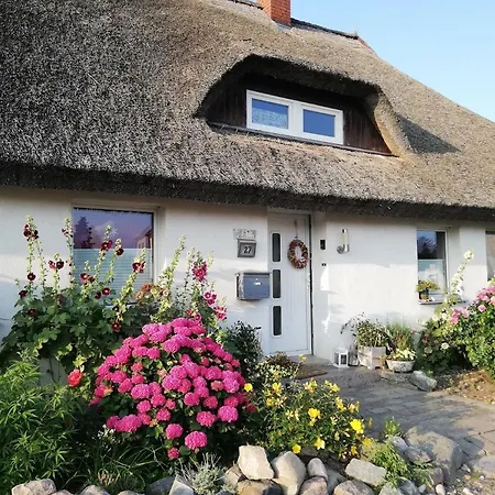 Wohnung Am Wanderweg Zum Koenigsstuhl Unter Reet Lohme Buitenkant foto