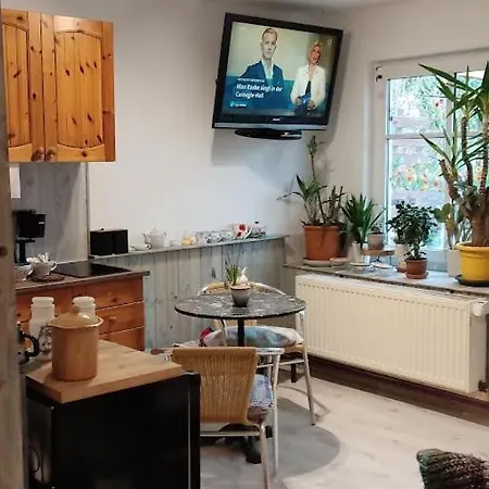 Wohnung Am Wanderweg Zum Koenigsstuhl Unter Reet Lohme Buitenkant foto